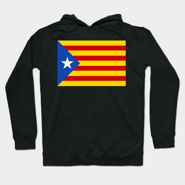 Flag of Estelada Hoodie by Historia